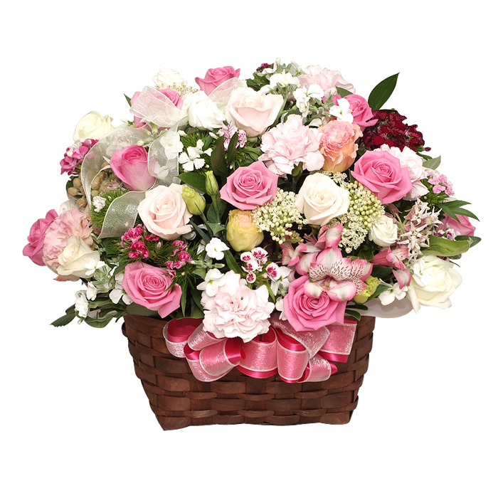 아쿠아꽃바구니