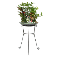 모듬식물 B형 상품이미지