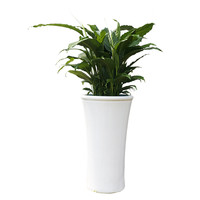 스파트필름 C형 상품이미지