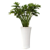 셀렘 A형 상품이미지