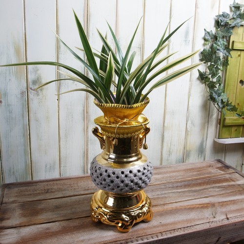 태양금(황금투각분)