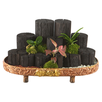 숯부작 B형 상품이미지