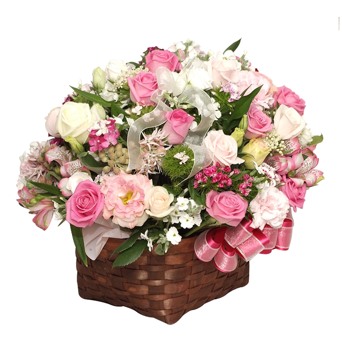 아쿠아꽃바구니