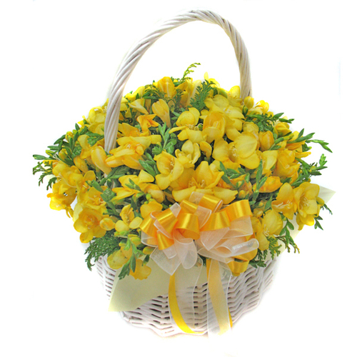 프리지아꽃바구니