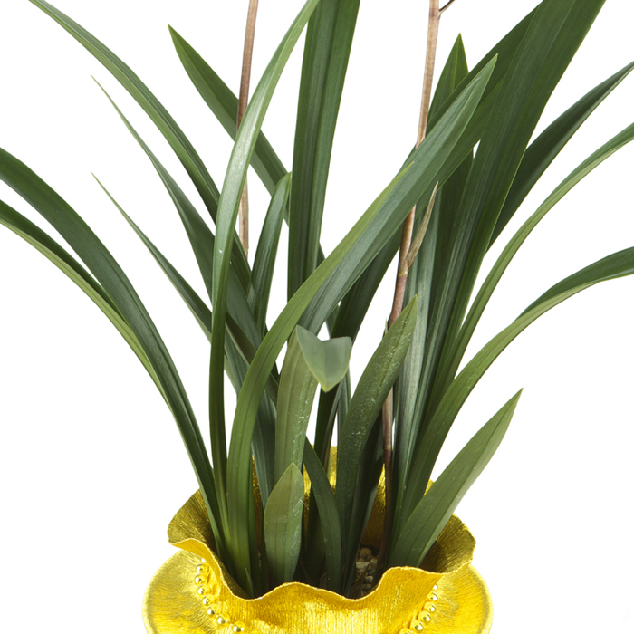 산천보세 2호 (겨울상품)