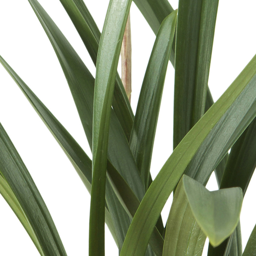 산천보세 2호 (겨울상품)